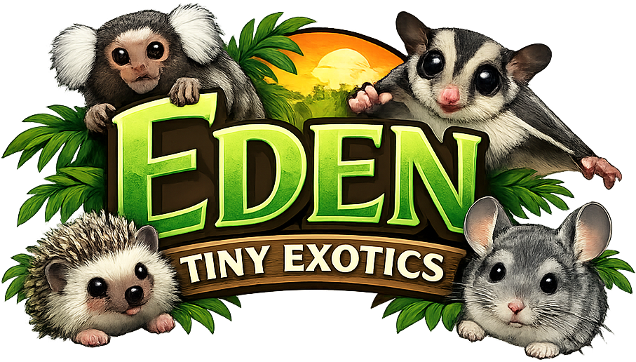 Eden Tiny Exotics